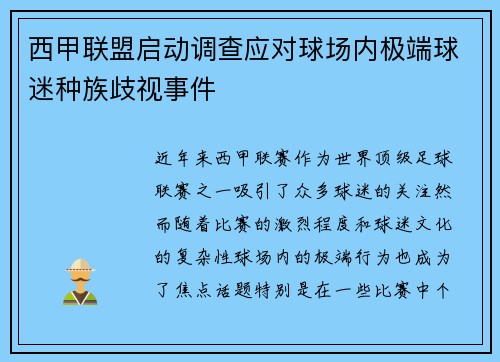 西甲联盟启动调查应对球场内极端球迷种族歧视事件